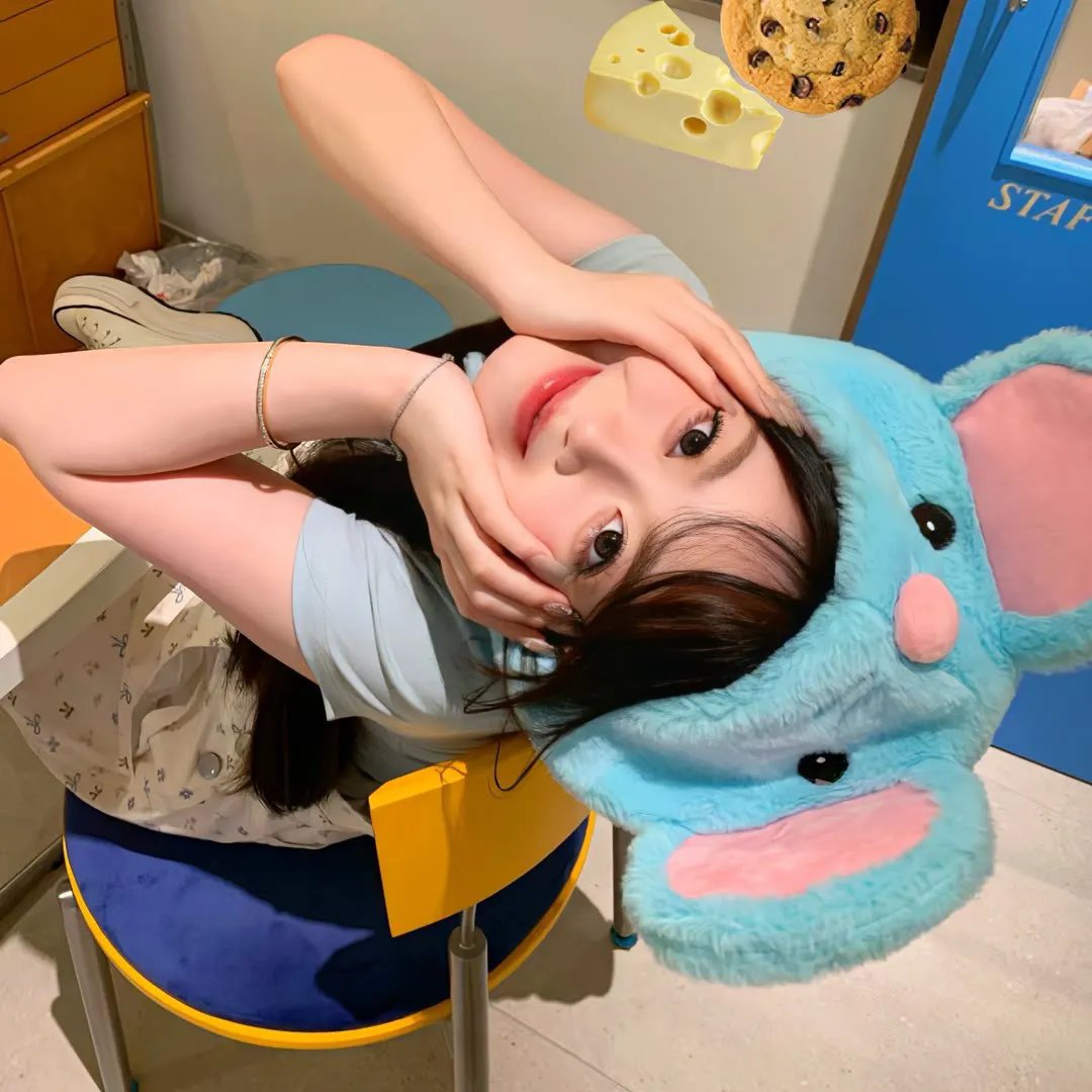 石纪元第四季