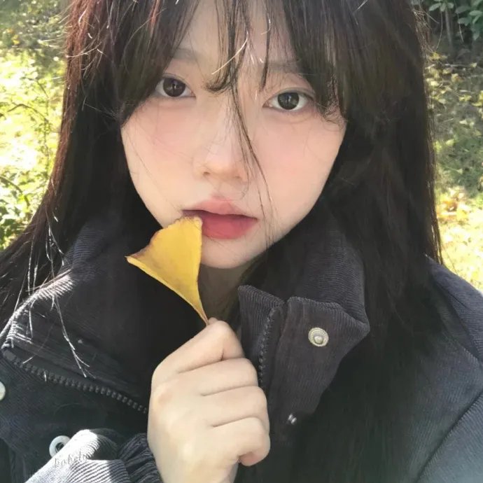 银簪子